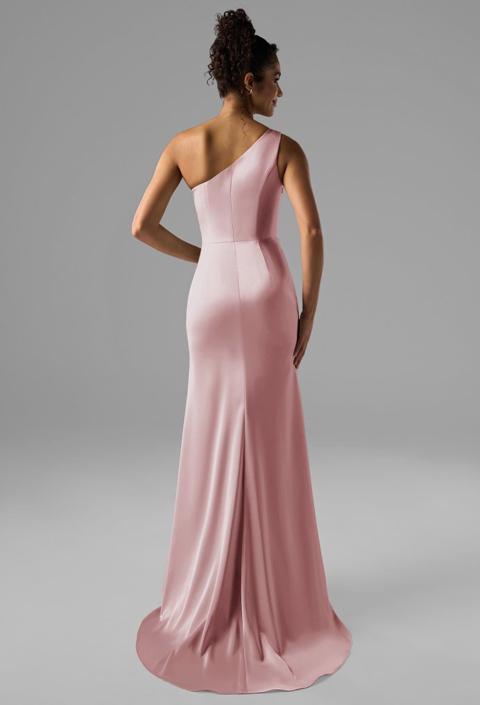 AW Rohan Dress